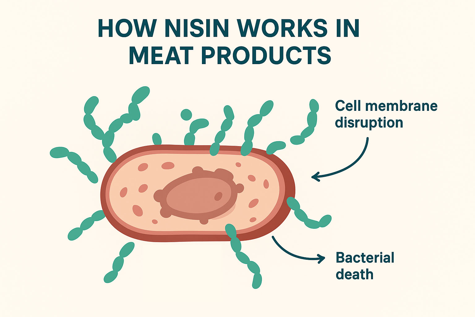 nisin used in meat