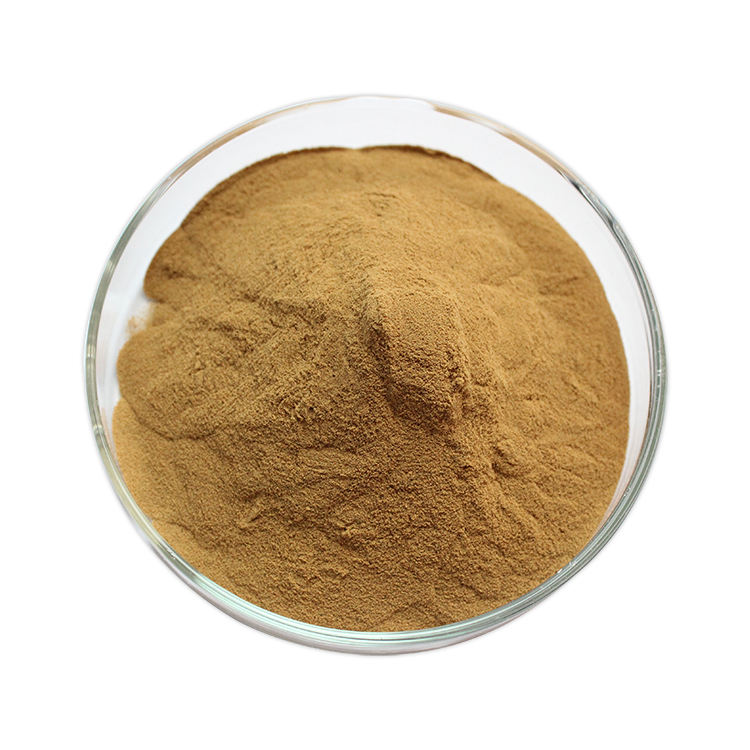 Rosemary Extract